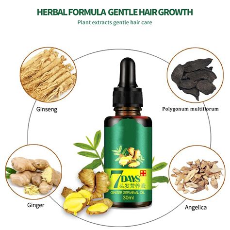 Crescimento Do Cabelo Leo De Gengibre Natural Planta Ess Ncia Mais