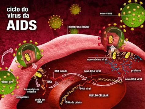 O Que é Hiv Medsimples