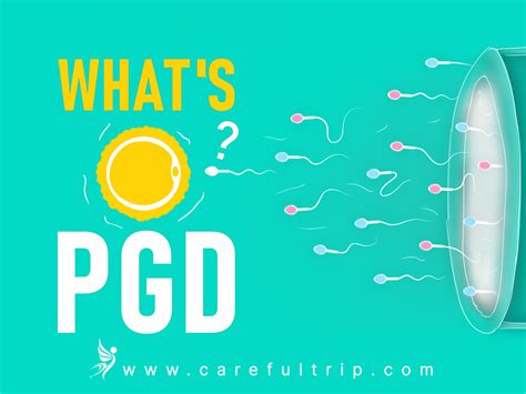 What Is Pgd Carefultrip