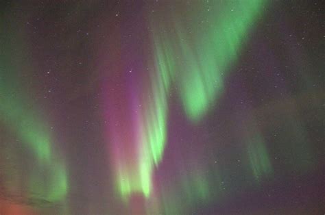 Reykjav K New Year S Eve Northern Lights Yacht Cruise Getyourguide