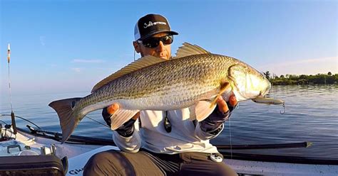 How To Catch Redfish In A New Area Fishing Report