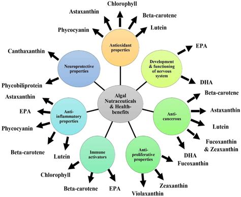 Various Microalgal Based Bioactive Compounds And Their Health Benefits