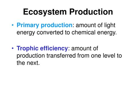 PPT - Ecosystem PowerPoint Presentation, free download - ID:1712821