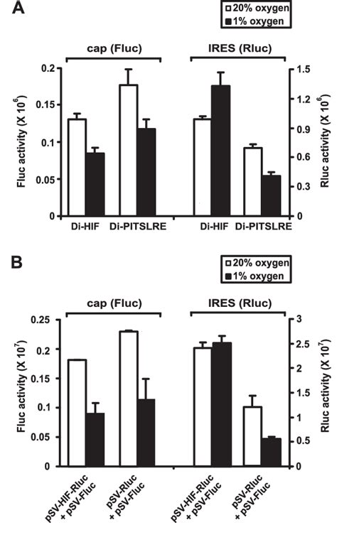 Figure From The Polypyrimidine Tract Binding Protein Stimulates Hif