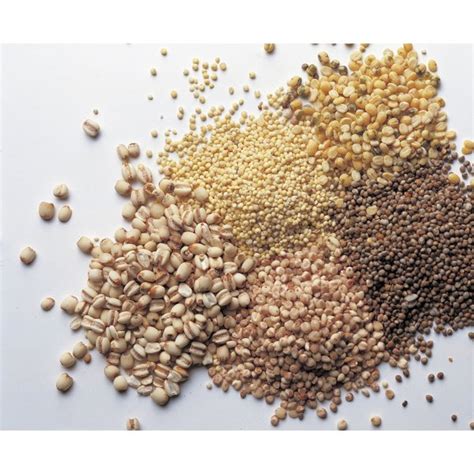 What Is Millet Grain? | Our Everyday Life