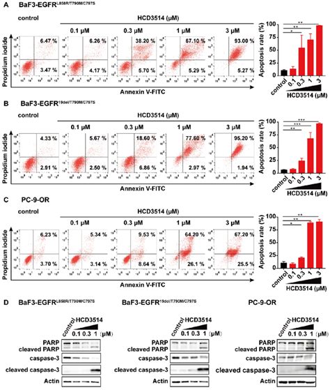 The Apoptosis Inducing Effect Of Hcd In Egfr C S Triple Mutant