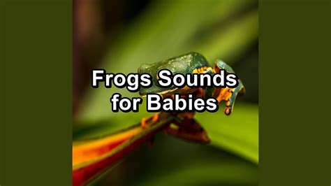 Nature Frogs Sounds Youtube