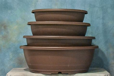 Plastic Bonsai Pots - Oval Series - Set of 4 Assorted Pots - Wigert's ...