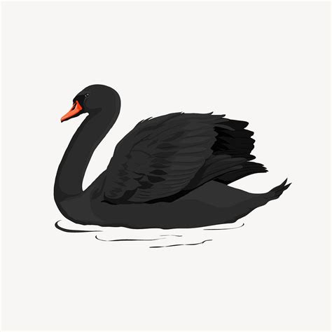 Black swan clipart, bird illustration | Free Photo Illustration - rawpixel