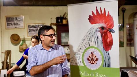 Il Pollo Romagnolo Ora Presidio Slow Food Salvato Dallestinzione