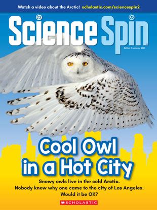 Cool Owl in a Hot City - January 2024