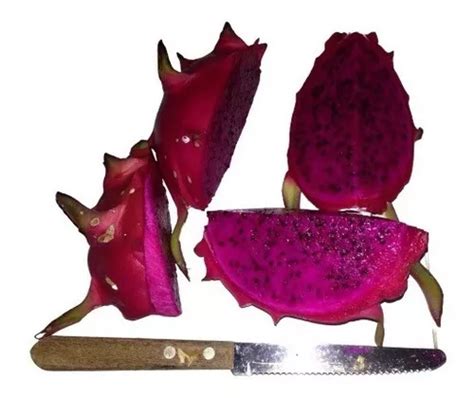 Pitaya Casca E Polpa Vermelha Mudas Amarela Golden Parcelamento