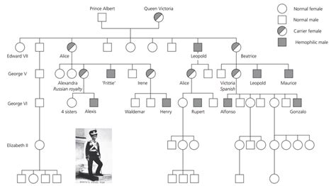 Queen Victoria Ancestors Family Tree