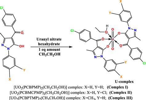 Synthetic route of uranyl complexes. | Download Scientific Diagram