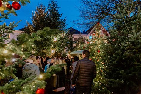 Weihnachtsmarkt In Buxtehude M Rchenhafter Winterzauber In Der