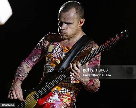 662 Bass Flea Stock Photos, High-Res Pictures, and Images - Getty Images