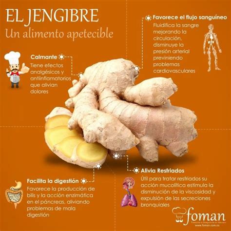 Las Propiedades Del Jengibre