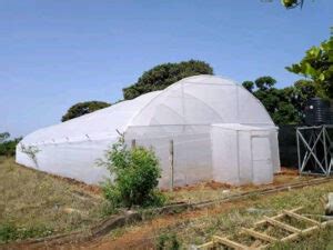 Metal Framed Greenhouses In Kenya Aqua Hub Ltd