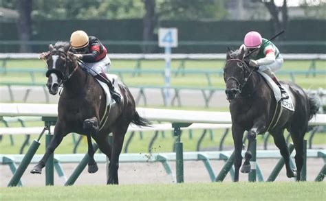 【中山新馬戦】2番人気シュバルツクーゲル 楽々と振り切った 西村淳「自信があった」 スポニチ競馬web