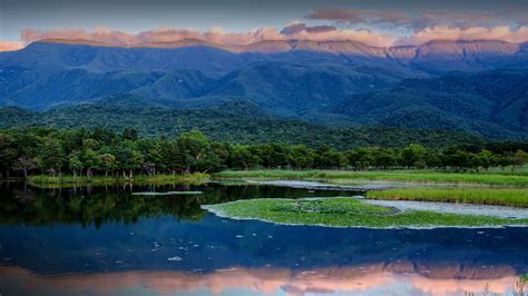 デスクトップ壁紙 自然 風景 木 森林 雲 空 山々 湖 植物 反射 水 日本 1920x1080