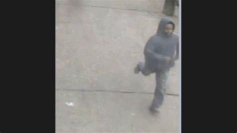 Man Sought In Bronx Attacks The New York Times