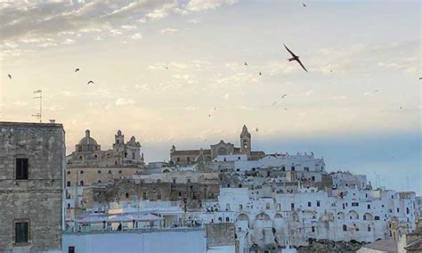 Ostuni Con I Bambini Cosa Fare Dove Mangiare E Dove Dormire