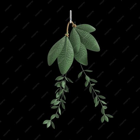 Premium Photo | 3d illustration of hanging houseplants isolated on