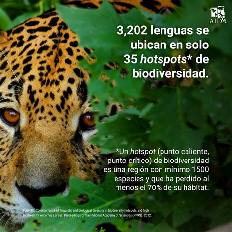 Programa Onu Medio Ambiente On Twitter Rt Aidaespanol La Ubicaci N