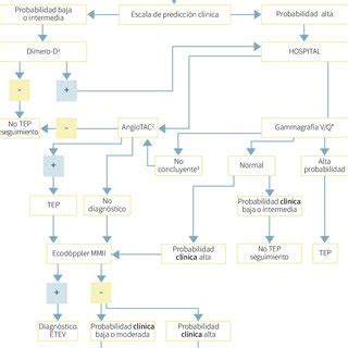 Algoritmo Para El Diagn Stico De Tromboembolismo Pulmonar En El