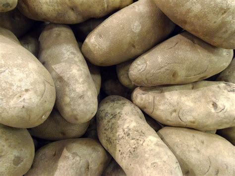 How To Cure Homegrown Potatoes