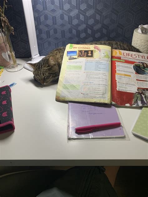 Подставка под учебник | Пикабу