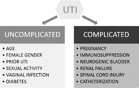 Infections Associated With Enterococcal Utis Download Scientific Diagram