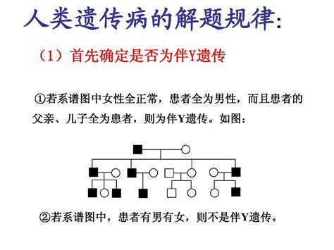 伴性遗传习题课word文档在线阅读与下载免费文档