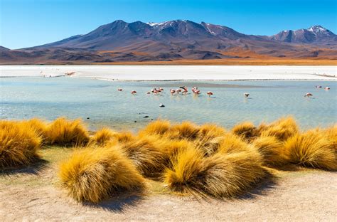 Conhe A O Salar De Uyuni O Maior Deserto De Sal Do Mundo Na Bol Via