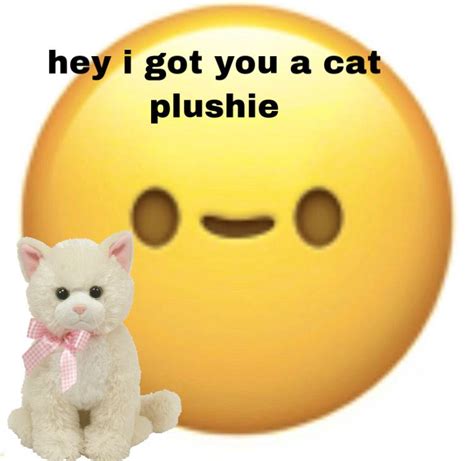 Hey I Got You A Cat Plushie