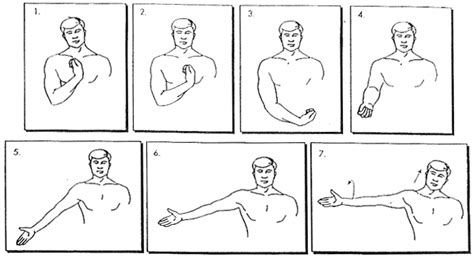 Brachial Plexus Nerve Glides Median Nerve Hand Therapy Exercises