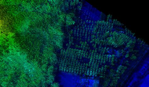 LiDAR Vs Photogrammetry The Ultimate Showdown For 3D Mapping 2024