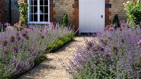 Esp Cies De Plantas Para Fachadas De Casas Lavanda Decorando Casas