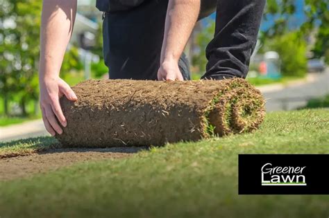 Sydney Turf Installers Leave The Work To Us In 2023