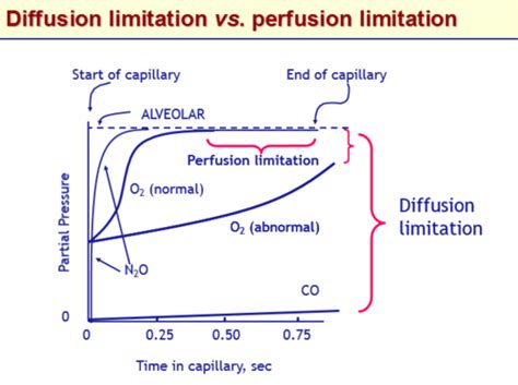 PHYS 3 Diffusion Of Gases Flashcards Quizlet