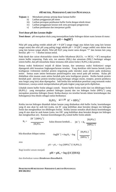 PDF Teori Dasar PH Dan Larutan Buffer Teori Dasar PH Log H PDF