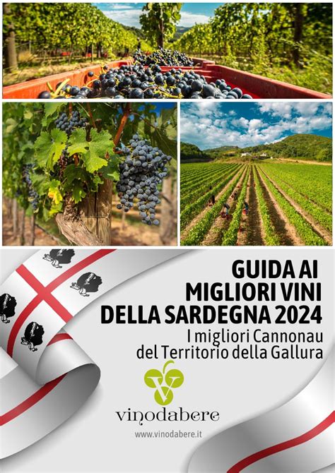 Guida Ai Migliori Vini Della Sardegna 2024 Di Vinodabere I Migliori