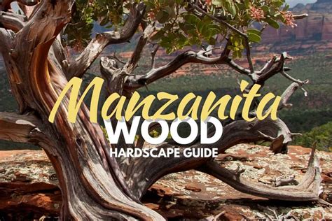 Manzanita Wood The Versatile Hardscape Guide Types And Uses