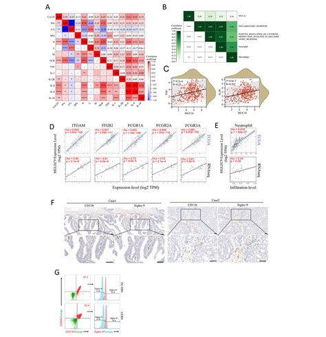 MUC16 And Siglec 9 Were Associated With Inflammation And Neutrophil