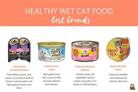 What Is A Good Wet Cat Food Brand At Stanleybdiazo Blog