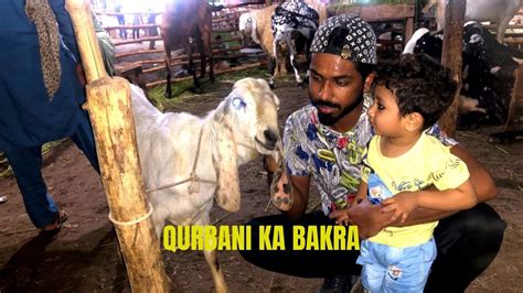 Mandi Se Qurbani Ka Bakra Le Liya 🐐😍 Mehenga Liya Ya Sasta 😱 Youtube