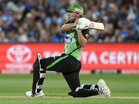 Melbourne Stars Vs Melbourne Renegades Today Match Prediction Who Will