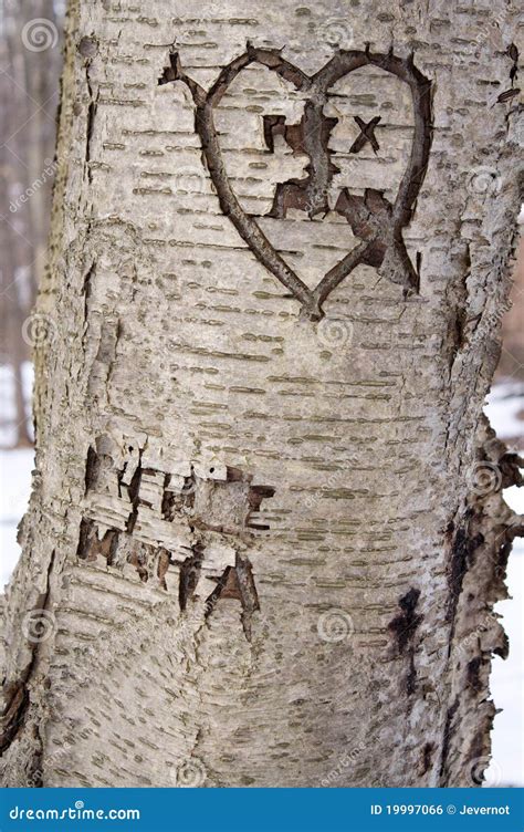 Carved Love Tree Royalty Free Stock Image Image