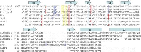 Structure Based Sequence Alignment Of K Ph Domain With Other Selective