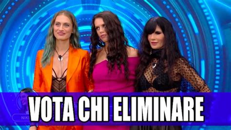 Gf Vip Antonella Nikita O Pamela Chi Vuoi Eliminare Vota